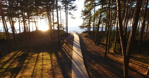 Aerial. Evening sun breaking through forest trail - 2 스톡 동영상 87312970