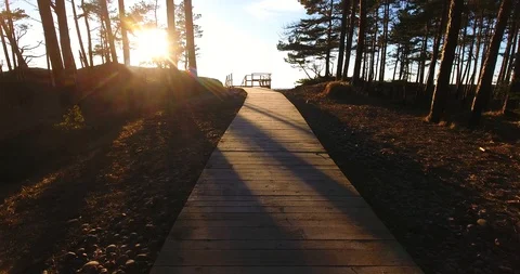 Aerial. Evening sun breaking through forest trail - 1 Vídeo Stock 87313307