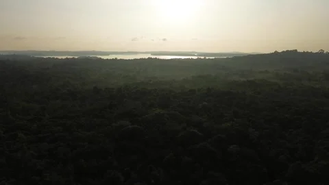Aerial expanse over dense emerald forest reaching tranquil waters under a s.. 스톡 동영상 337243036