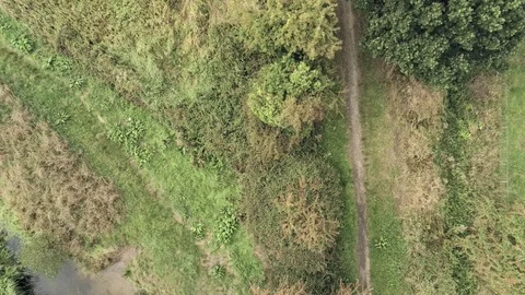 Aerial facing down view, forward move. Drone fly over narrow path to old smal Stock Footage 95541134