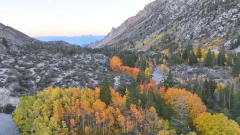Aerial Fall Aspen Trees Mountain Road Lake Sabrina Bishop California Fly Th.. Stock Footage 339817863