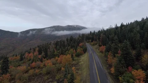 Aerial - Fall colors in the mountains Video stock 95147403