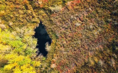 Aerial fall colors Stock Photos