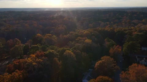 Aerial fall drone view of fall colors and trees sun ray beams at the top. Stock Footage 170459711