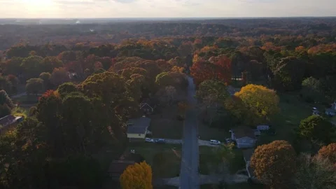 Aerial fall drone view of fall colors and trees Stock Footage 170459779