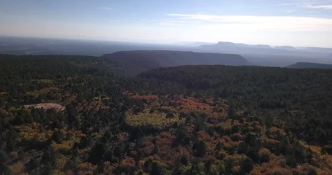 Aerial fall foliage on cedar mesa near Bears Ears national monument in Utah Stock Footage 99561890