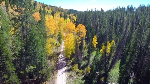 Aerial fall foliage road flyover 스톡 동영상 75085152
