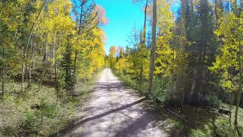 Aerial fall foliage road flyover 스톡 동영상 75085500