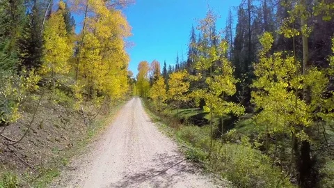 Aerial fall foliage road flyover Stock Footage 75085511