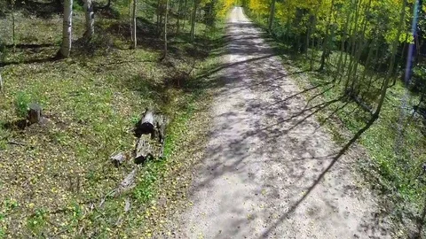 Aerial fall foliage road flyover Video stock 75085803