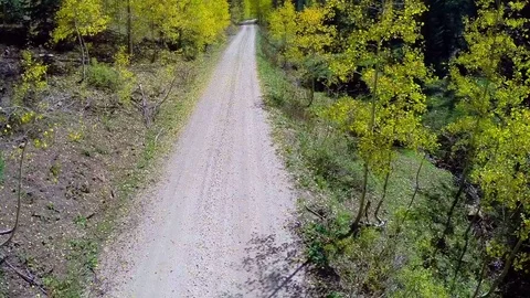 Aerial fall foliage road flyover Video stock 75085905
