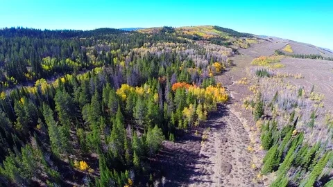 Aerial fall foliage road flyover Video stock 75086114