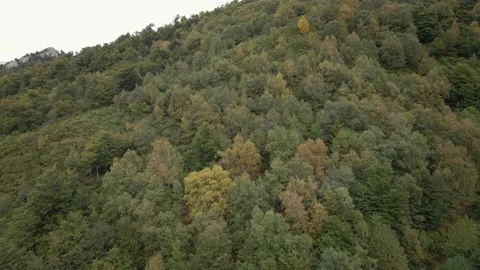 Aerial Fall Forest Backwards and Scenery shot. Asturias, Spain. Stock Footage 140861542