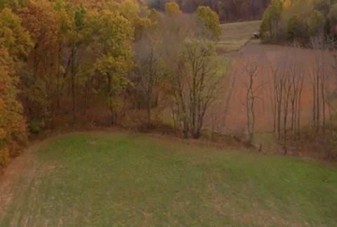 Aerial fall lake Video stock 8960482