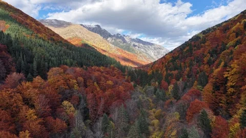 Aerial Fall Landscape With Forest and Ridge Stock Footage 332922823