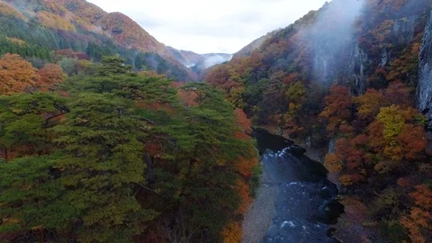 Aerial Fall River Valley Stock Footage 73018957
