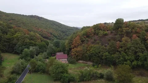 Aerial of farm field with parallel lines and distant forest Stock Footage 313573898