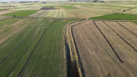 Aerial farm fields Stock Footage 240743520