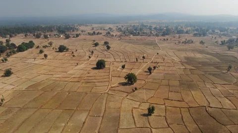 Aerial of farm fields in India  Stock Footage 105435065