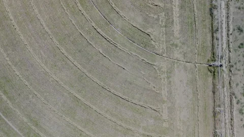 Aerial Farm Repeating Pattern Hay and Grass Lines in Field Stock Footage 347919695