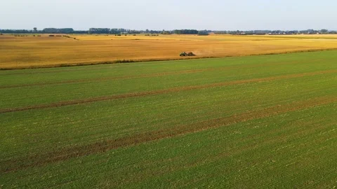 Aerial farmer on tractor with seeding machinery driving over field sows grain of Stock Footage 209618853