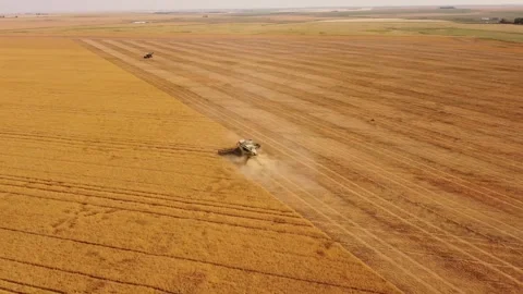 Aerial farmers at work operating combine harvesting wheat field. Stock Footage 274658492