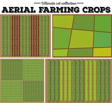 Aerial farming crops pattern Stock Illustration