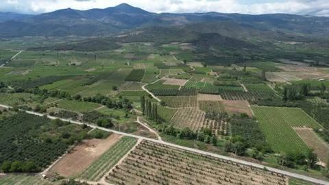 Aerial farmland fields Stock Footage 203035286