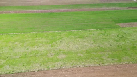 Aerial farmland green patch texture for agriculture background with uneven crop Stock Footage 333498181