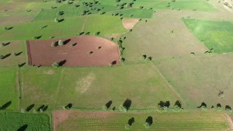 Aerial farmland patchwork fields hills cultivated plains rural terrain detail 스톡 동영상 333830890