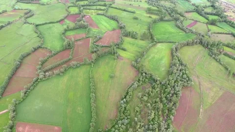 Aerial farmland patchwork fields hills - Cultivated Fields and Farmland Pattern Stock Footage 339569010