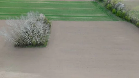Aerial farmland patchwork fields overhead for agriculture background and land Stock Footage 333497216