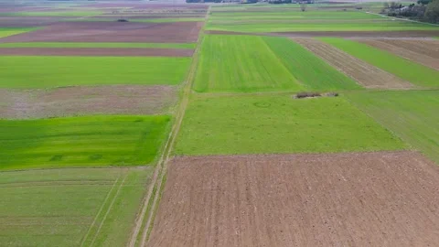 Aerial farmland patchwork top view for agriculture background with field Stock Footage 333497625