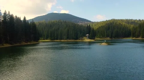AERIAL: Fast flight down the river Stock Footage 67649000