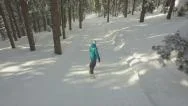 Aerial: Female Snowboarder Snowboarding Through The Forest Stock Footage
