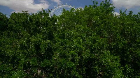 Aerial of Ferris Wheel Stock Footage 62952096