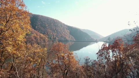 Aerial of few elders during sunset. Autumn season. 4K Video Stock Footage 166442868