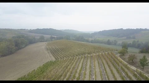 Aerial field 스톡 동영상 81887013