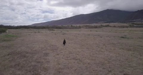 Aerial Field Stock Footage 152227112