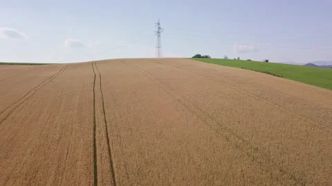 Aerial Field View Stock Footage 132746945