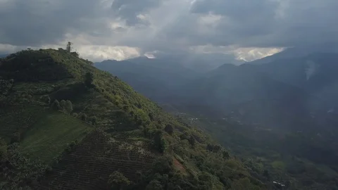Aerial of fields on the beautiful green mountain Video stock 103722453