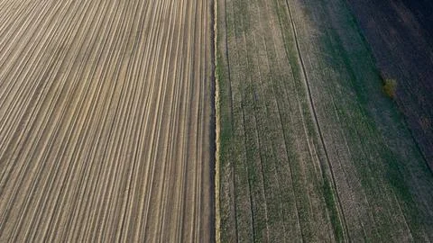 Aerial fields divided by earthen strip with plowed and crop rows Foto stock