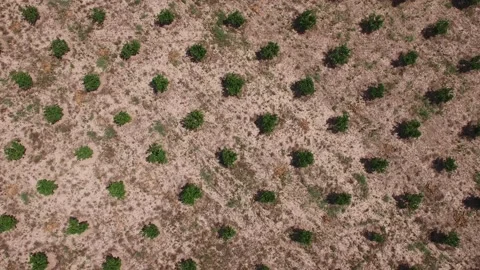 Aerial of fields &amp; hills of between Antalya and Isparta. Turkey. DJI-0256-01 Stockbeeldmateriaal 137537323