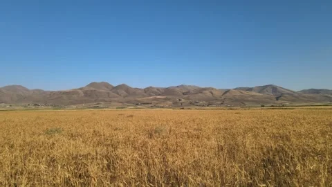 Aerial fields nature Stock Footage 240755603