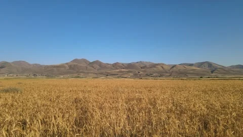 Aerial fields nature Stock-Footage 240755774