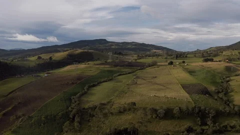 Aerial of fields with trees and cloudy blue sky, Colombia Stock Footage 135314596