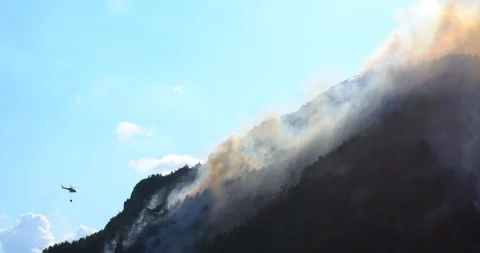 Aerial firefighting with helicopter Stock Footage 94951731