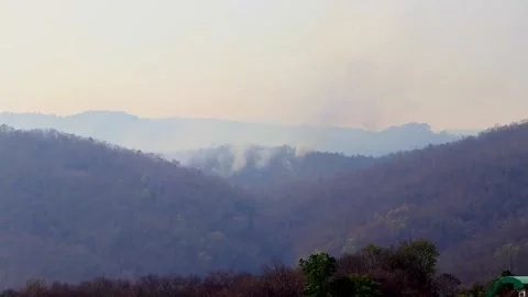 Aerial firefighting with wildfire during drought in mountain. Helicopter put out Stock Footage 137977357