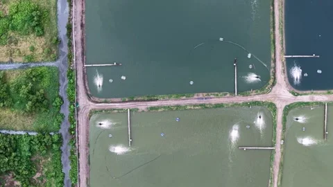 Aerial Fish Farm Rectangular Ponds With Aerators And Paths 스톡 동영상 329351052