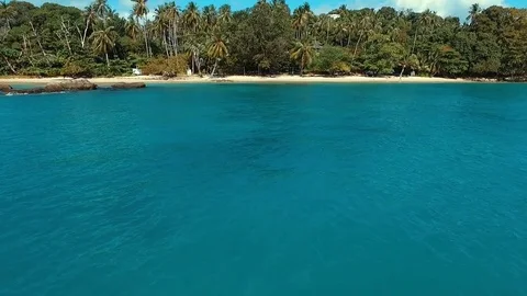 Aerial: Flew to palm beach. Stock Footage 69734265